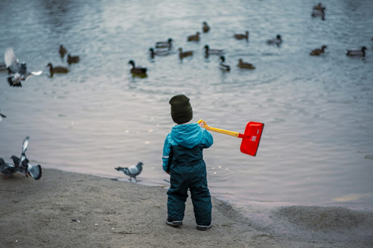 Kind steht mit Schaufel am Wasser zwischen Enten